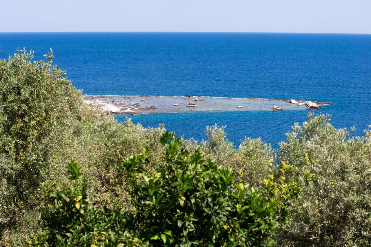 Archodissa Villa Thimonia 外观 照片